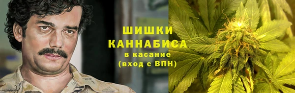 шишки Верея