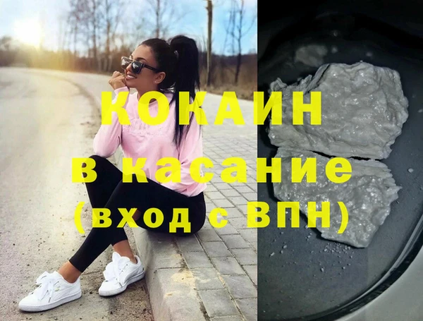 шишки Верея