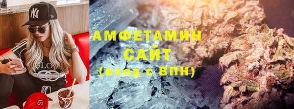 шишки Верея