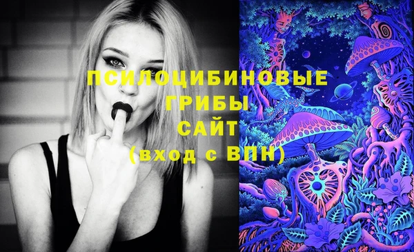 шишки Верея