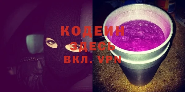 шишки Верея