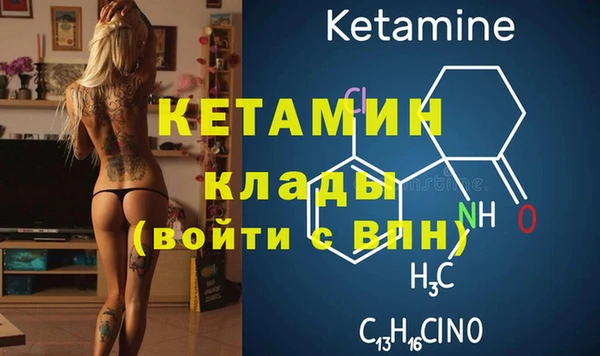 шишки Верея