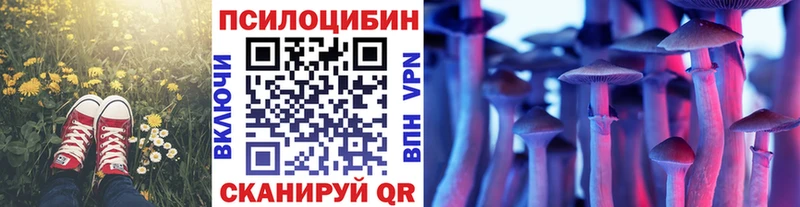 Псилоцибиновые грибы Magic Shrooms  купить   Норильск 